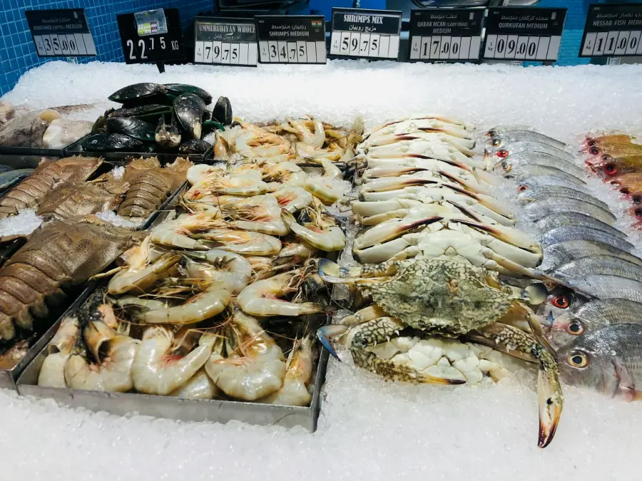Campania al Seafood Expo Global di Barcellona, vetrina per pesca e acquacoltura