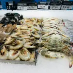Campania al Seafood Expo Global di Barcellona, vetrina per pesca e acquacoltura